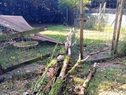 Città degli Angeli chiede aiuto