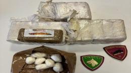 I cagnoni antidroga ne trovano un bel po'