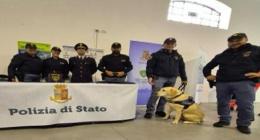 Port Days 2024: la Polizia di Frontiera si avvicina alla comunità