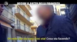 Le Iene a Chioggia per  il drammatico caso del gatto Green 