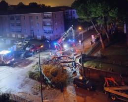 Crolla un albero vicino alla Pascoli