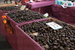 San Martino tra tradizioni, leggende e sapori autunnali