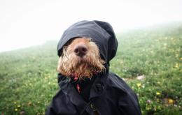 Nebbia e freddo in arrivo a Nordest