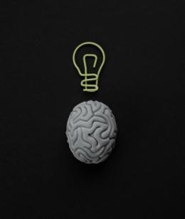 Svelati i segreti del pensiero creativo