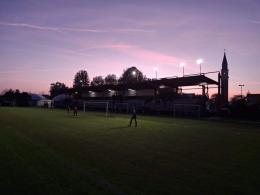 “Non tolleriamo insulti razzisti”