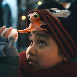 Il bambino e l'amico Polpo