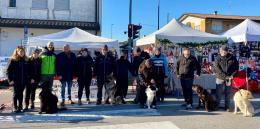 Arriva la sfilata con i propri pelosi