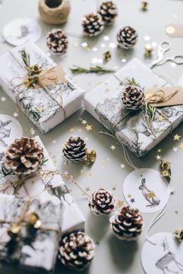 Decora la tua casa in modo sostenibile!