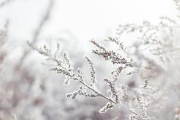 L'Inverno bussa alle porte: Gelo e neve in arrivo nel weekend dell'Immacolata