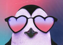 PINGUINI TATTICI NUCLEARI TRIBUTE BAND