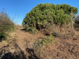 Al via i lavori di recupero del verde del Forte San Felice