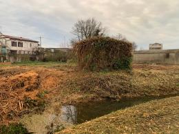 Nasce ufficialmente il gattile