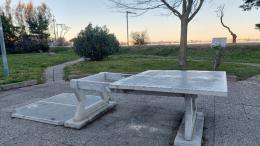 Ancora vandalismi in città