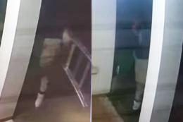 Ecco il ladro delle grondaie!