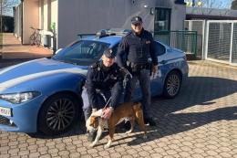 Prende il cane a cinghiate: arriva la polizia