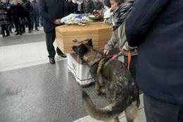 Lo straziante addio di Leone al padrone