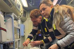 Arriva l'ambulanza per i nostri animali