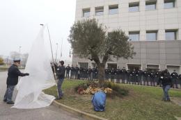 Una tragedia, tanti eroi: un albero per loro