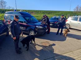 Un bazar della droga in casa: arrestato 49 enne di Cavarzere