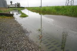 La strada finisce sott'acqua: "Abbiamo le case piene di vermi"