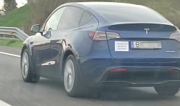 Ha la Tesla ma protesta contro Musk: "L'ho comprata prima che diventasse bizzarro"