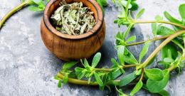 Erbe Spontanee: dalla natura alla tavola