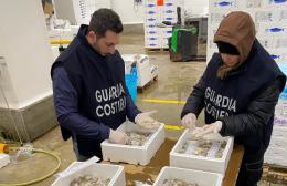 Falsa tracciabilità, scatta il sequestro