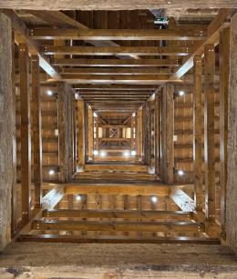 Un chicco di grano macinato nel futuro