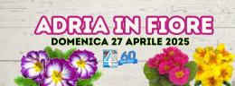 Adria in fiore