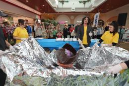 Alla Fattoria aperte le grandi uova con Bugs Bunny e Titti