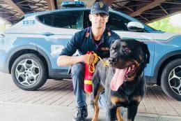Abbandonato a Pasqua, salvato dalla polizia