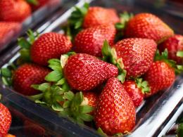 Maggio all'insegna di frutta e verdura