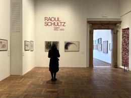 RAOUL SCHULTZ. Opere 1953-1970