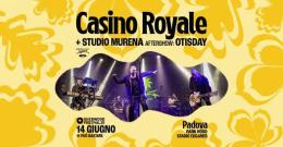 Sherwood Festival - Casino Royale