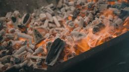 Buffalo Food Festival