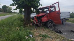 Schianto contro un platano, gravi papà e bimbo