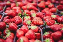 Fragole: alleate di salute e bellezza