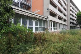 Una jungla nel cuore del quartiere