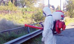 Pastiglie antizanzare a giugno