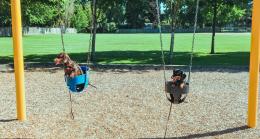 Stop ai cani nelle aree gioco