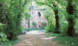 Bosco Langer chiuso da un recinto