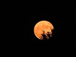 Arriva la Luna delle fragole