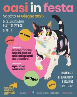 Oasi in festa