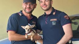 Rubano l'auto con il cane a bordo