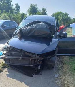 Fuggono dopo un incidente in A4: scattano le ricerche per 2 cani e 2 gatti