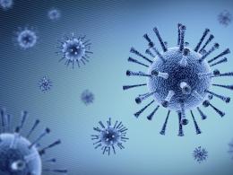Allarme: nuovi virus nei pipistrelli cinesi
