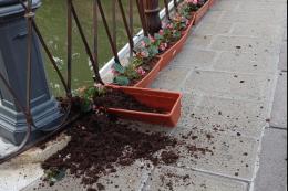 I baby vandali chiedono scusa al sindaco