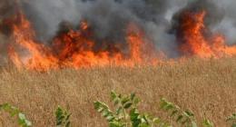 Troppo caldo, va a fuoco la campagna