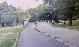 La ciclabile è stata ripulita