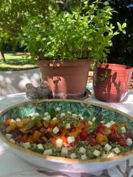 Farro estivo